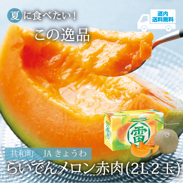 【KM-401】らいでんメロン　赤肉２L２玉 【常温】共和町 JAきょうわ ★te・to・teに掲載★【7月下旬より順次発送】道内送料無料