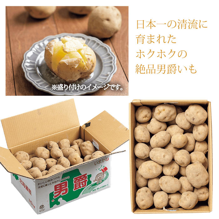 AU-88P】今金産男爵いも（M～L） 10kg 【常温】今金町 日置