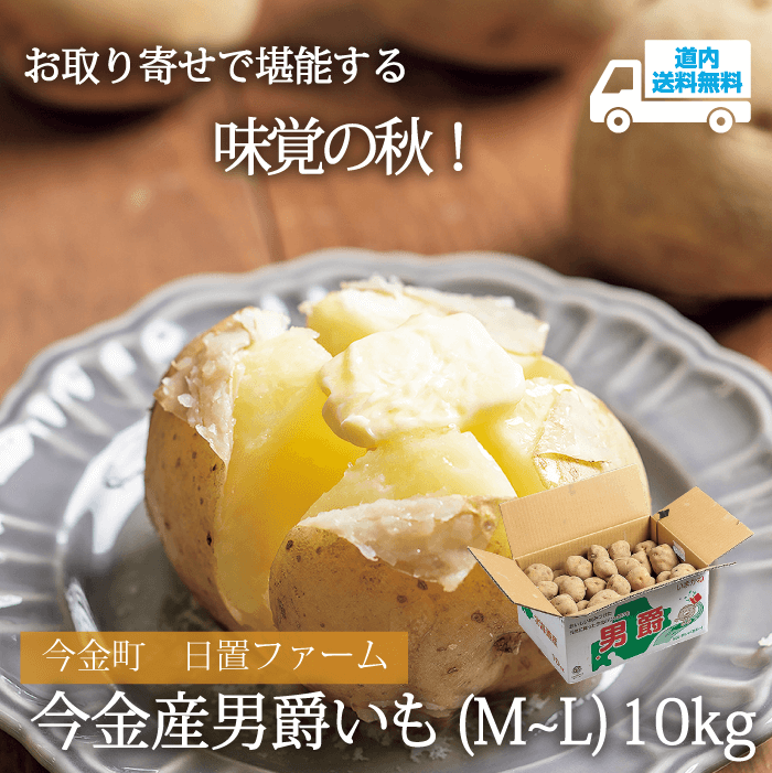 【AU-88P】今金産男爵いも（M～L） 10kg 【常温】今金町 日置ファーム ★te・to・teに掲載★【予約商品 9月上旬より順次発送　※現在発送が遅れており10月中旬頃より順次発送なります】道内送料無料