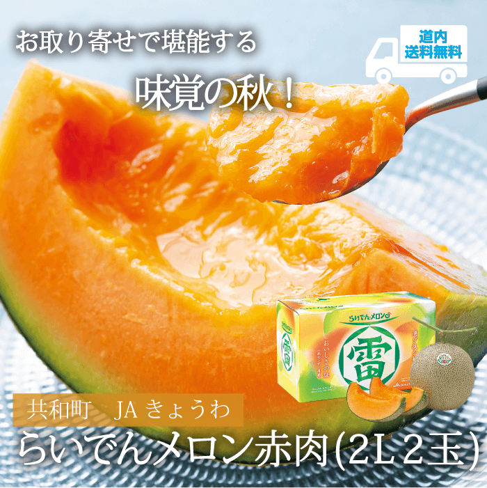 【KM-401】らいでんメロン　赤肉２L２玉 【常温】共和町 JAきょうわ ★te・to・teに掲載★【8月下旬より順次発送】道内送料無料