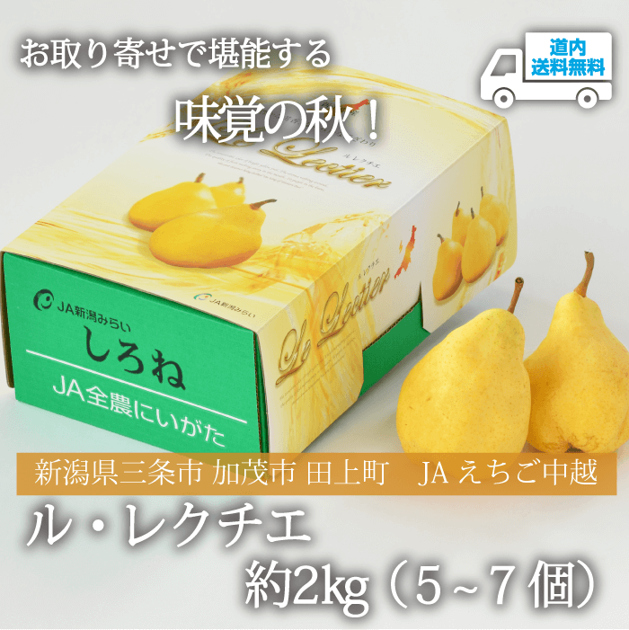 【NY-601】ル・レクチエ　約2kg（5～7個） 【冷蔵】新潟県 三条市 加茂市 田上町 JAえちご中越 ★te・to・teに掲載★【11月下旬から順次発送】道内送料無料