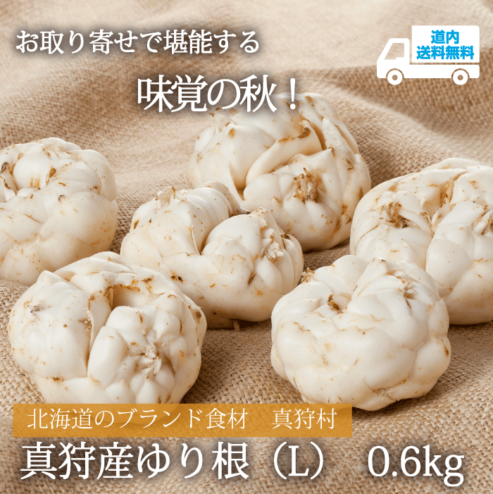 【AU-51Y】真狩産ゆり根（L） 0.6kg 【常温】真狩村 ★te・to・teに掲載★【予約商品 11月下旬より順次発送】道内送料無料