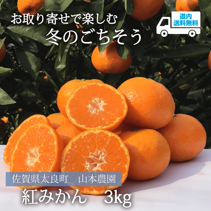 【OS-610】紅みかん　3kg【常温】 佐賀県太良町 山本農園★te・to・teに掲載★【12月上旬より順次発送】道内送料無料