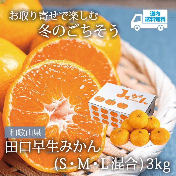 【MS-100】田口早生みかん（S・M・L混合）　3kg【常温】和歌山県  ★te・to・teに掲載★【12月中下旬より順次発送】道内送料無料