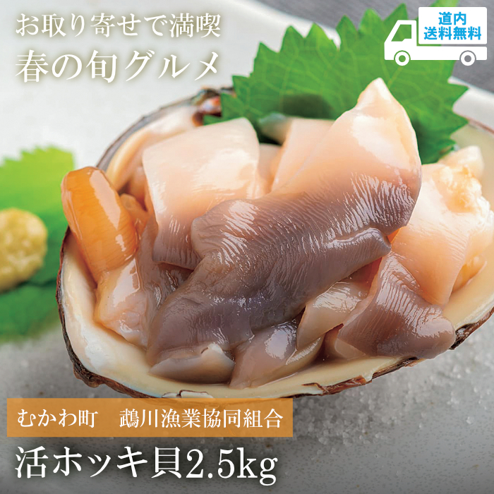 【HM-025】2026年2月号掲載　活ホッキ貝　2.5kg（1個約150～300gを10個程度）【冷蔵】むかわ町 鵡川漁業協同組合  ★te・to・teに掲載★【順次発送】道内送料無料