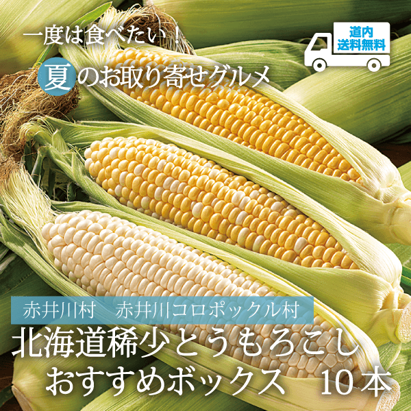 【CA-100】北海道稀少とうもろこしおすすめボックス　10本 【冷蔵】赤井川村 赤井川コロポックル村 ★te・to・teに掲載★【8月上旬より順次発送】道内送料無料