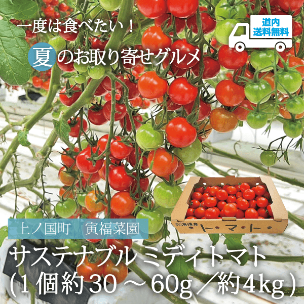 【TK-201】サステナブルミディトマト　（1個約30～60g／約4kg）【冷蔵】上ノ国町 寅福菜園 ★te・to・teに掲載★【順次発送】道内送料無料
