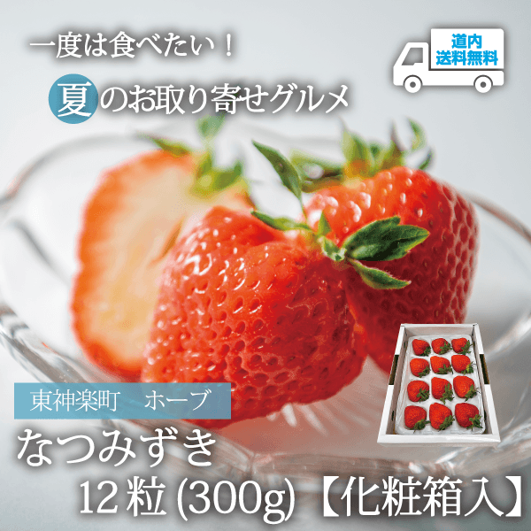 【SK-300】なつみずき　12粒（300g）【化粧箱入】 【冷蔵】東神楽町 ホープ ★te・to・teに掲載★【6月下旬より順次発送】道内送料無料