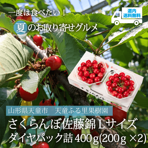 【YL-302】佐藤錦 Ｌサイズダイヤパック詰 400ｇ（200ｇ×2）【冷蔵】山形県天童市 天童ふる里果樹園 ★te・to・teに掲載★【6月下旬より順次発送】道内送料無料