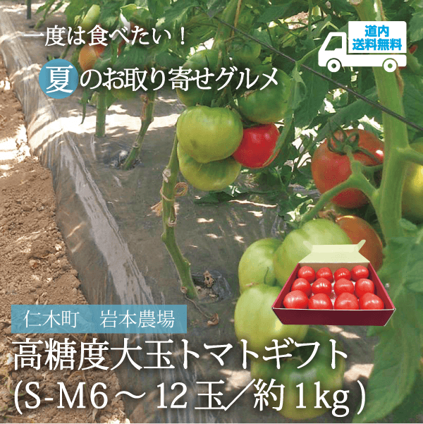 【TA-210】高糖度大玉トマトギフト　（S-M 6～12玉／約1kg）【常温】仁木町 岩本農場 ★te・to・teに掲載★【6月中旬より順次発送】道内送料無料