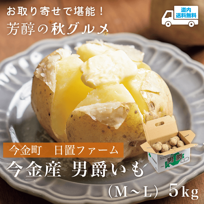 【AU-85P】今金産男爵いも（M～L） 5kg 【常温】今金町 日置ファーム ★te・to・teに掲載★【9月10日～11月10日より順次発送】道内送料無料