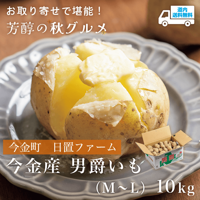【AU-88P】今金産男爵いも（M～L） 10kg 【常温】今金町 日置ファーム ★te・to・teに掲載★【9月10日～11月10日より順次発送】道内送料無料