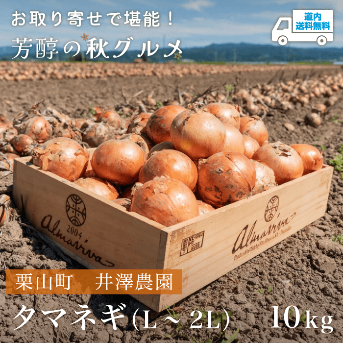 【OU-010】タマネギ（L～2L） 10kg 【常温】栗山町 井澤農園 ★te・to・teに掲載★【9月上旬～12月下旬より順次発送】道内送料無料