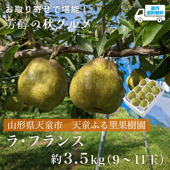 【Y-119】ラ・フランス　約3.5kg（9～11個） 【冷蔵】山形県天童市 天童ふる里果樹園 ★te・to・teに掲載★【11月10日から11月30日より順次発送】道内送料無料