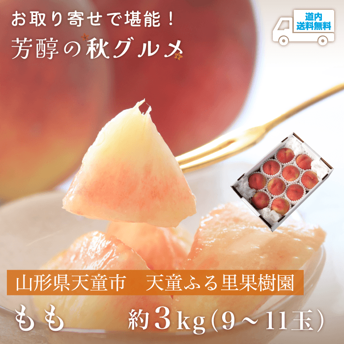 【YP-310】もも 約3ｋｇ（9～11玉）【常温】山形県天童市 天童ふる里果樹園  ★te・to・teに掲載★【8月下旬～9月上旬より順次発送】道内送料無料